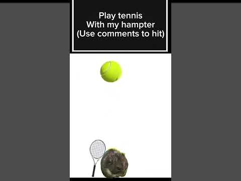 Play tennis with my hamster! #hamster #tennis #funny