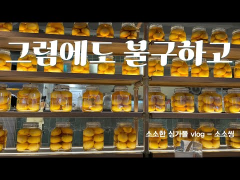 Singapore Vlog - 그럼에도 불구하고 감사 선포