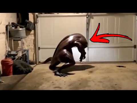 THIS HAPPENED IN GARAGE WATCH SCARY VIDEOS