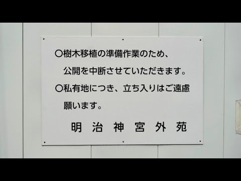 神宮外苑 樹木伐採今日にも開始か 「自然を売り災害で払う」抗議する市民の声