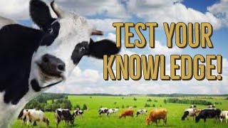 Wild Trivia Adventure: Test Your Animal Knowledge!