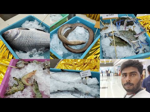 SEA FOOD FESTIVAL NELLORE (PART - 1) @LPNVLOGS FISHES AND PRAWNS DEMO SHOW IN NELLORE || SUBSCRIBE