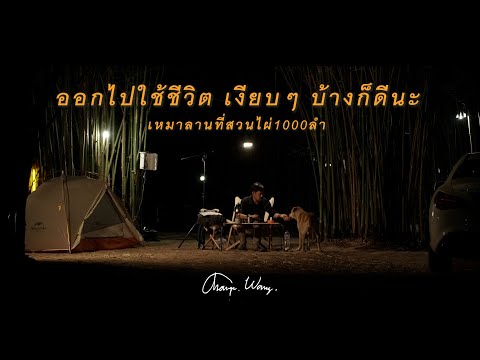 แชมป์ว่างเที่ยว EP22 กางเต็นท์เหมาลานที่ สวนไผ่1000ลำ สระบุรี สโลว์ไลฟ์