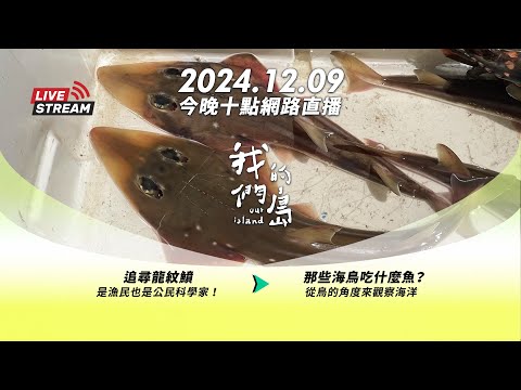 直播放映室【今晚十點 🔴LIVE】2024.12.9 公視我們的島第1285集 播出