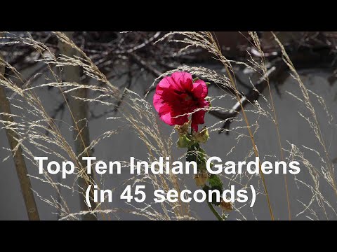 The Top Ten Indian Gardens in 45 seconds