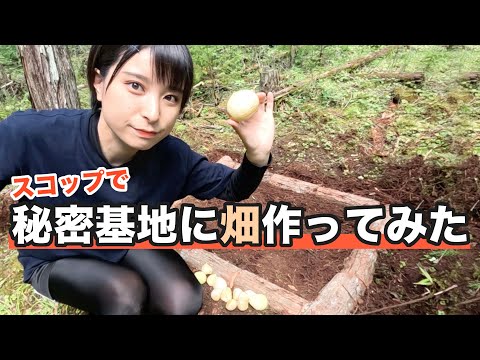 サバイバル女子が手作業で山に畑を作ってみた！巨大ニンニクを育てる！