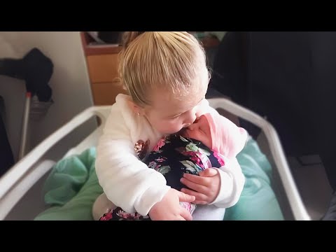 Adorable Baby Siblings Meeting Their Newborn - Cute Baby Videos