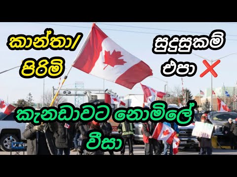 කැනඩාවට නොමිලේ වීසා. සුදුසුකම් එපා ❌ storekeeper foreign job vacancies in canada free visa