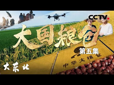 《大东北》05 大国粮仓：大国现代化粮库 储粮量高达3.3万吨！看东北硬核种地【CCTV纪录】