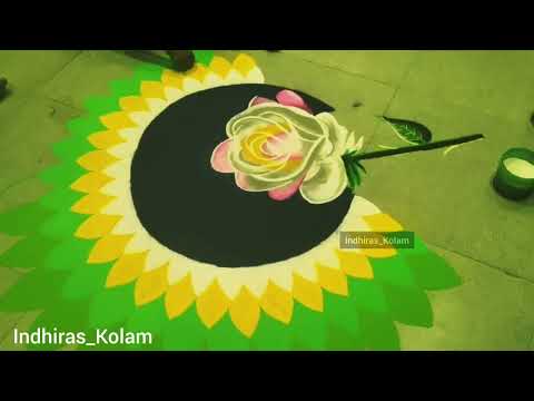 Real Rose Design Rangoli Kolam | பூ கோலங்கள் |பார்க்க அழகான கோலம்| வண்ண வண்ண கோலங்கள் | muggulu 2024