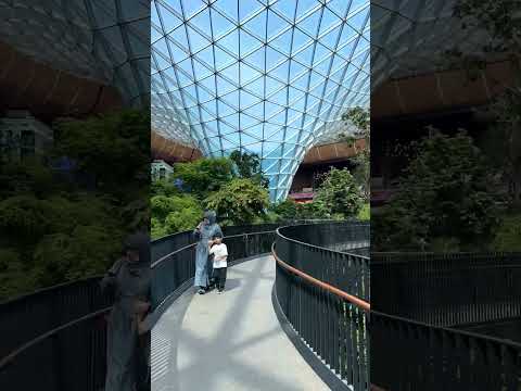 The Orchard at Hamad International Airport | Indoor Tropical Garden #theorchard #timelapse