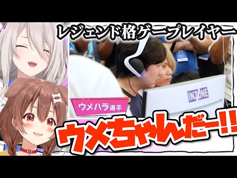 生のウメハラ氏を見てテンションが上がるぼたころ【獅白ぼたん/戌神ころね/ホロライブ/切り抜き】