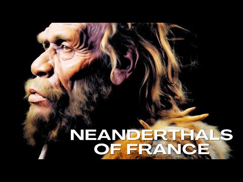 Neanderthals of France: More Advanced Than Previously Believed