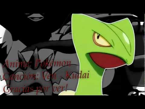 {SMS} Deja El Dolor~ [Sceptile/Krokorok]