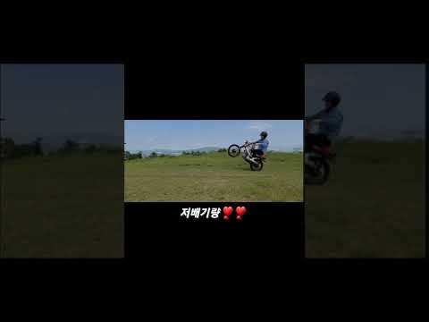 슈퍼커브윌리 #언더본 #슈퍼커브 #supercub