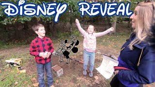 Disney Reveal!!!