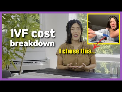 IVF cost breakdown, how to reduce IVF costs, Mini IVF, Shared Risk Program, How I paid for IVF