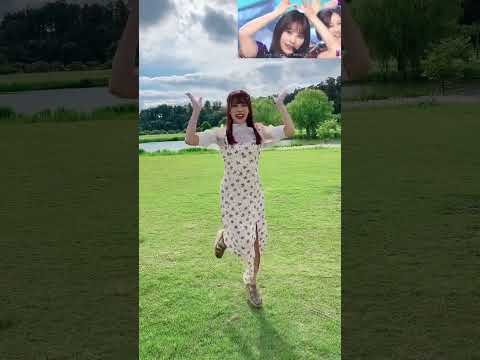 【乃木坂46】君に叱られた 踊ってみた【安里唯】