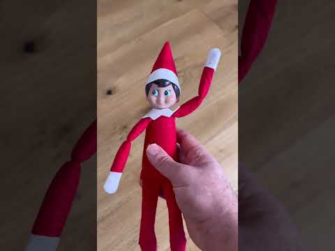 I Brought Multiple Of ELVES ON A SHELF Into Our HAUNTED HOUSE! Part 2 #shorts