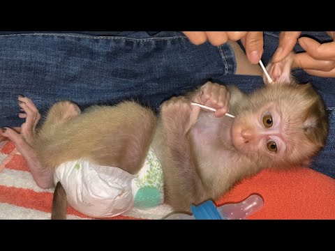 Cute little baby boy sleeping for mom to cleaning ears