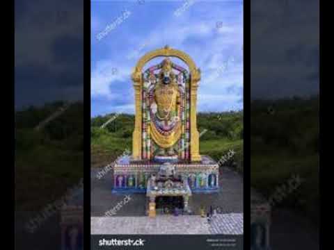 Sri Venkateshwara Suprabhatha | Sindhu Raghupathy #shorts