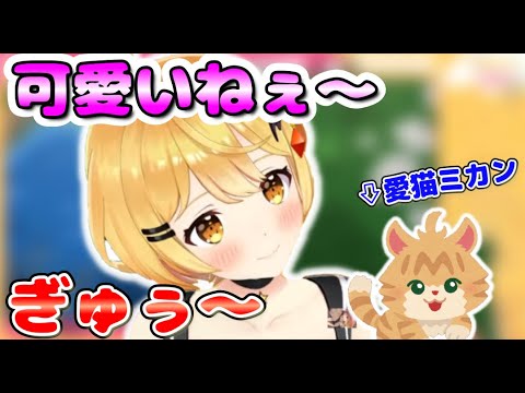 愛猫ミカンとたわむれるメルちゃんが可愛すぎた【ホロライブ/夜空メル/切り抜き】