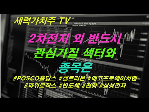 [주식 08.13] 2차전지 외 반드시 관심가질 섹터와 종목은(2)( #POSCO홀딩스 #셀트리온 #에코프로에이치앤 #파워로직스 #반도체 #진영 #삼성전자) #세력가치주