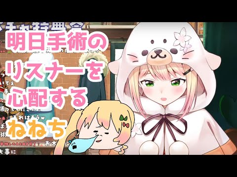 明日手術のリスナーを心配するねねち【ホロライブ/切り抜き/桃鈴ねね】