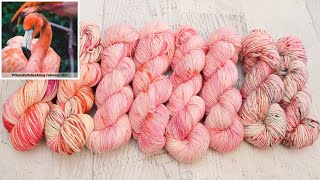 February 2021 #ChemKnitsDyeAlong Livestream Recap! Flamingo Yarn!