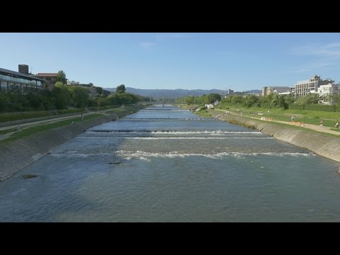 Kyoto Japan 4K  Kamogawa River - 京都 鴨川 #4K