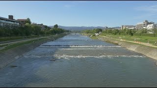 Kyoto Japan 4K  Kamogawa River - 京都 鴨川 #4K