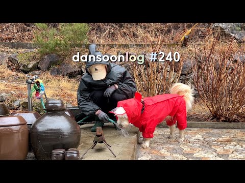 Rural Winter Life in Korea vlog 240) Spring Rain