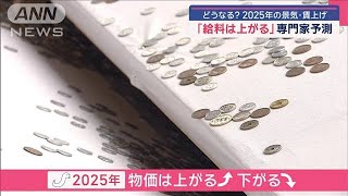 どうなる? 2025年の景気・賃上げ　「給料は上がる」専門家が予測【スーパーJチャンネル】(2025年1月6日)