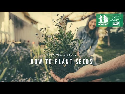 Let's Plant Seeds with Jasmine from the Playford Library