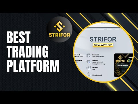 Strifor Broker Review: Is It the Right Broker for You?