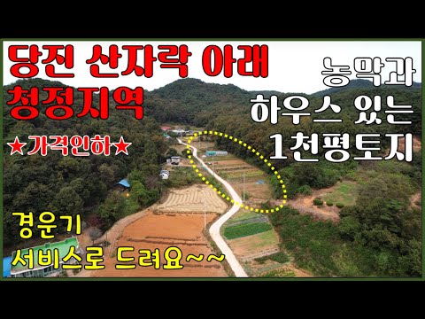 [급매]당진 산자락아래 농막+하우스있는 1천평토지매매-주말농장, 체류형쉼터, 전원주택, 농가주택, 시골주택, 농촌주택, 귀농귀촌 가능