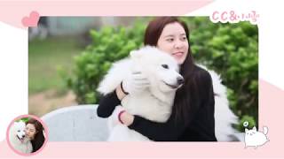 Hero Dog 3 BTS 2 - Cecilia Boey