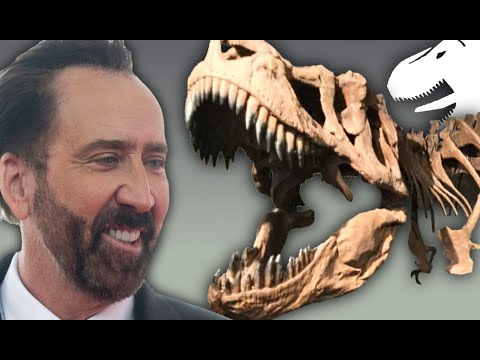 The Nicolas Cage Dinosaur Skull Incident