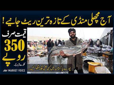 2025 New Fish Market Lahore | Wholesale Fish Market | Machli Mandi Lahore | Fish Rates Lahore