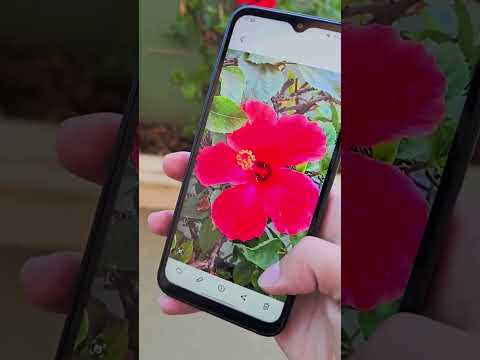 Samsung A14 Camera test in 2024