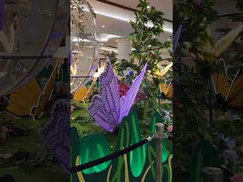 BUTTERFLY GARDEN SAHARA MALL DUBAI