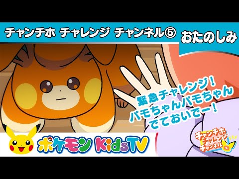 【ポケモン公式】緊急チャレンジ！パモちゃんパモちゃんでておいでー！【チャンチホチャレンジチャンネル】－ポケモン Kids TV