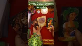 ANGELS की ओर से क्या GUIDANCE है #currentenergy #lovetarot #tarothindi #tarot #spiritualhinditaro