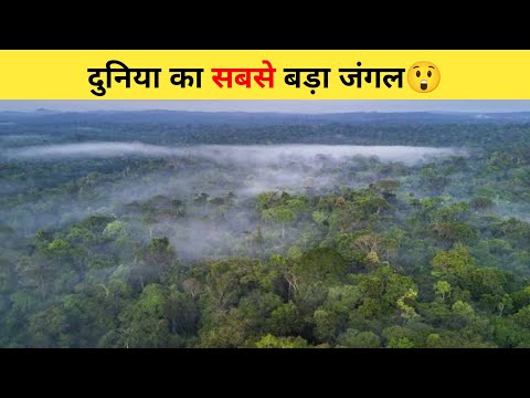 दुनिया का सबसे बड़ा जंगल😲 | #shorts #amazonrainforest #ytshort