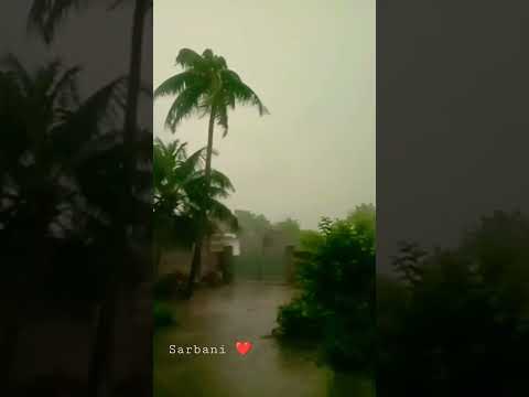 Barish/আজ বৃষ্টি হল#viral #subscribe #sadstatus #shorts #short @sarbani01 #barish #rain