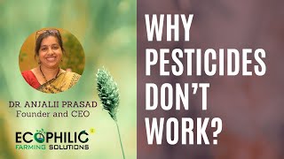 What is pesticide resistance?