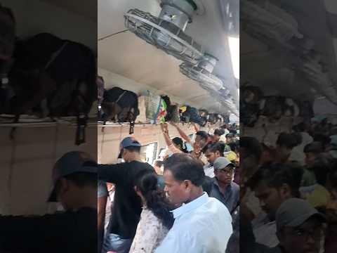 Full Public in #Train #Telangana #election #subscribe #shorts #train #travel #public #shat