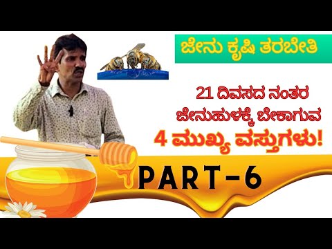 PART - 6  21 ದಿವಸದ ನಂತರ ಜೇನುಹುಳದ ಕೆಲಸದ ಬಗ್ಗೆ ತಿಳಿಯಿರಿ | Know about the work of Bee after 21 day's