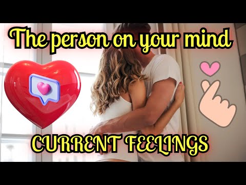 🌟Current Feelings🌟Of Your Person Right Now😍🥰LOVE READING🥰UNKI CURRENT FEELINGS🥰Timeless🥰