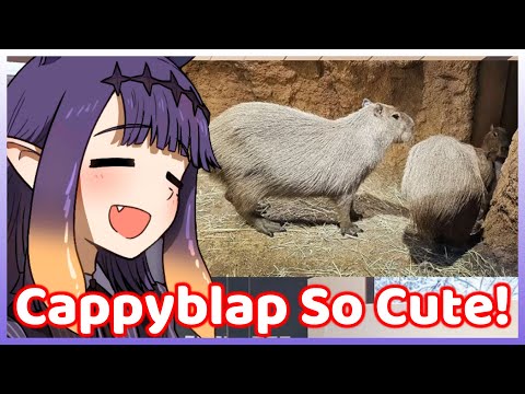 Ina was Super Excited when Visiting Her Favorite Animal in Japan! (Hololive)